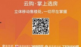 深圳市网民爆料新闻报道,最新新闻报道聚焦城市热点事件